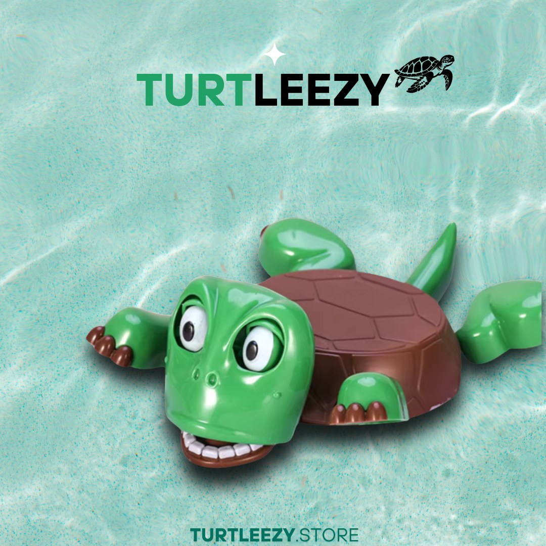 Creative Coaster Turtle