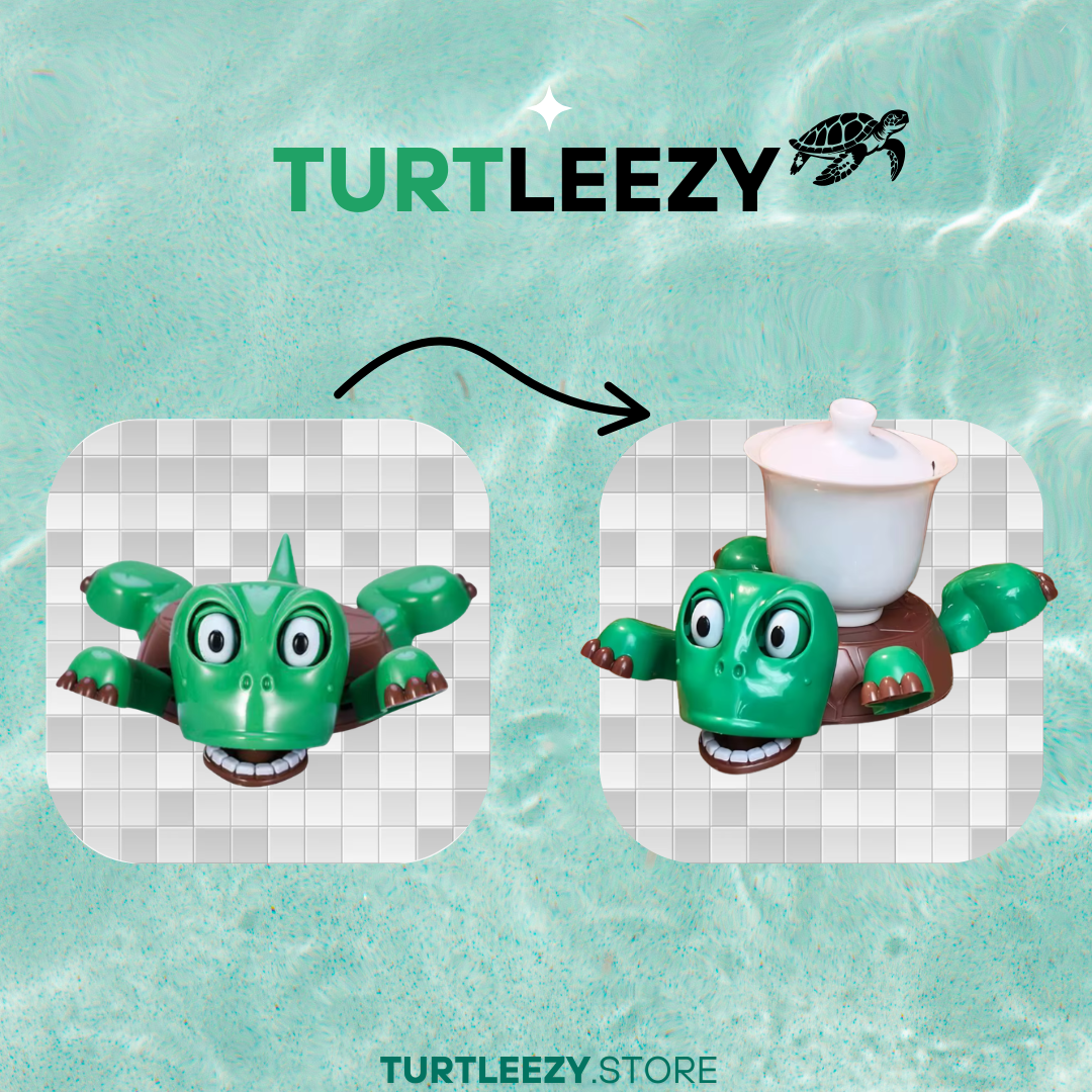 Creative Coaster Turtle
