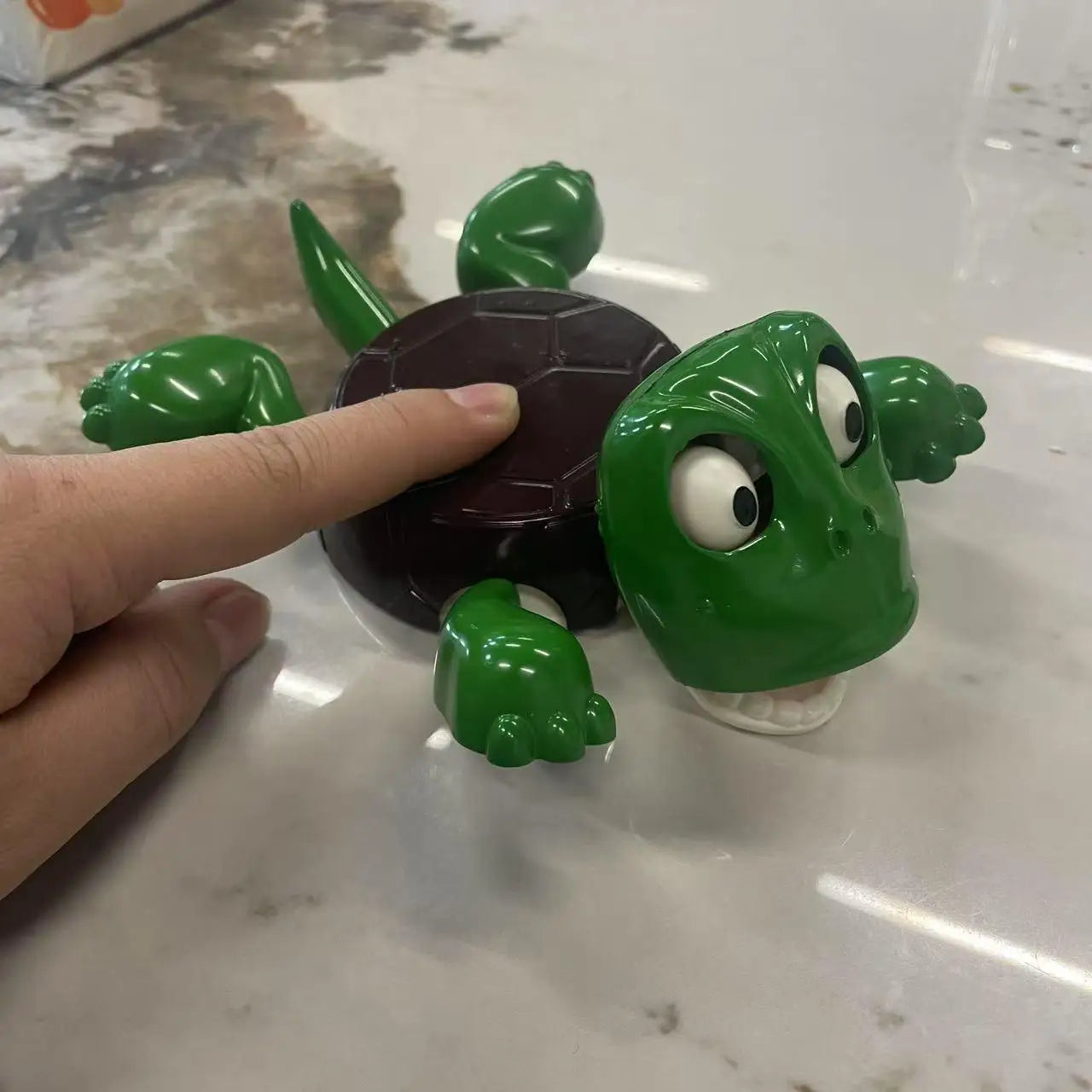 Creative Coaster Turtle