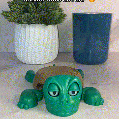 Creative Coaster Turtle